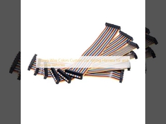 20awg Color de alambre Arnés de cableado de automóvil personalizado para vehículos duraderos